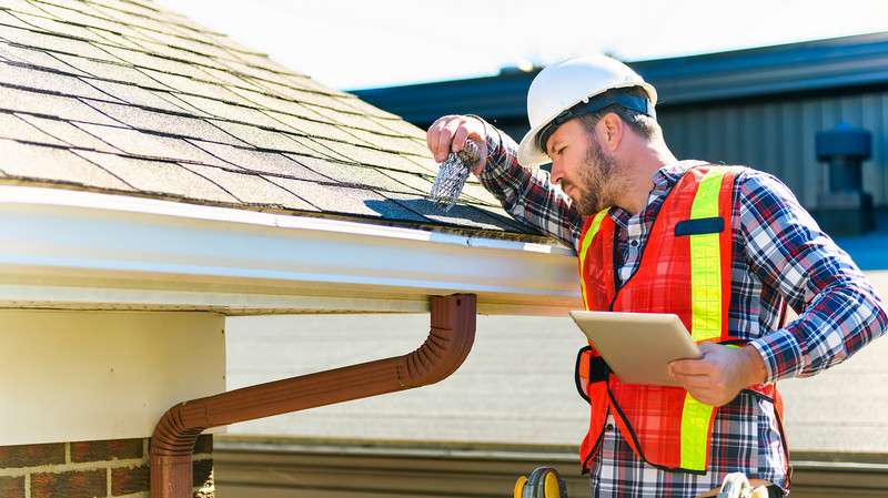 roof inspection cost