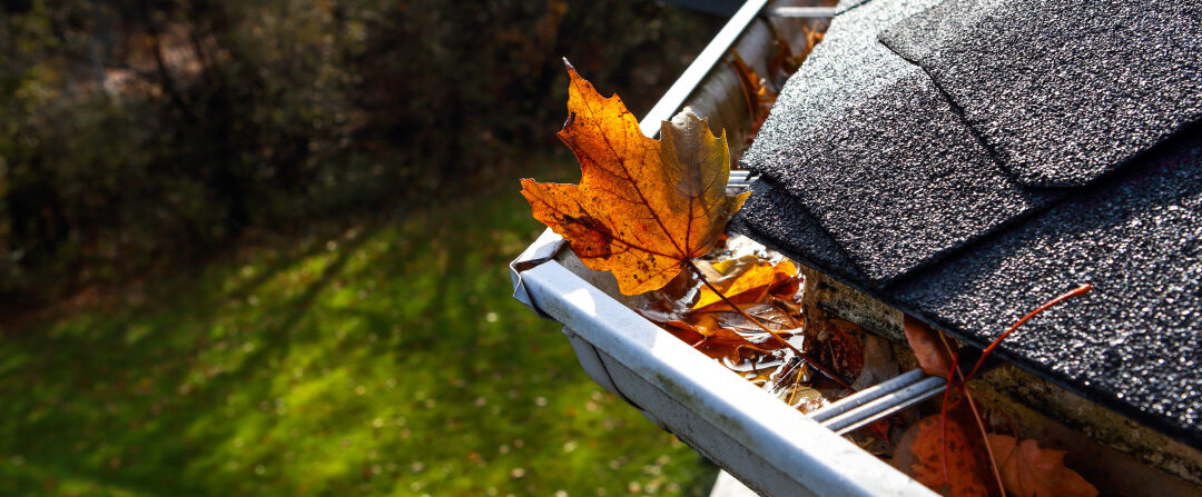 Best Gutters for Leaves in Your Dayton, Ohio Home